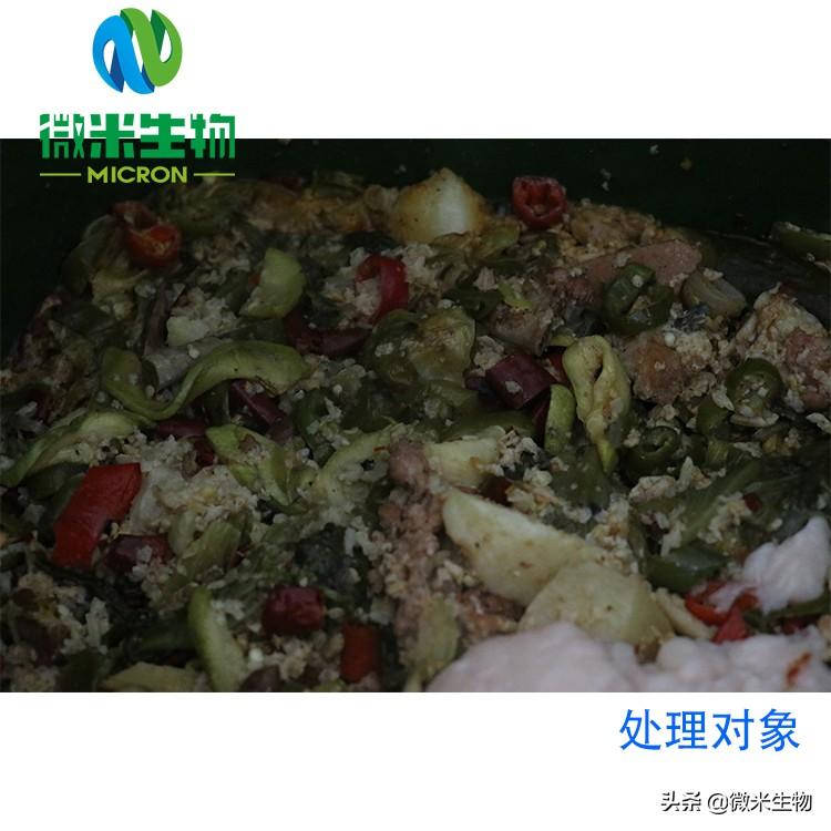 水蜜桃成人AV在线垃圾該如何的正確處理？