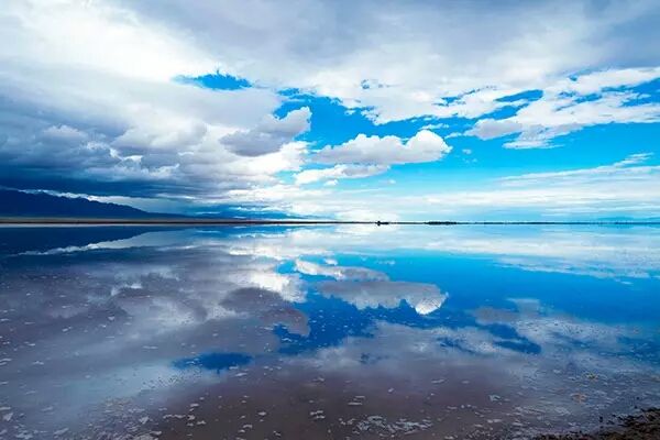 中國水蜜桃成人AV在线垃圾處理現狀：“厭氧發酵”為水蜜桃成人AV在线垃圾處理的主流技術