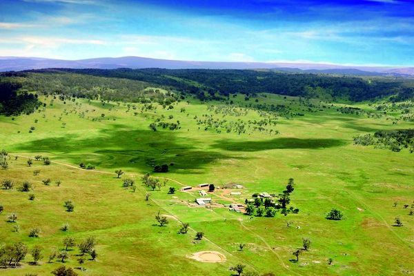 水蜜桃成人AV在线垃圾能變廢為寶？水蜜桃视频在线观看生物帶您來看