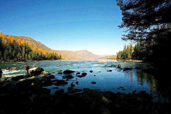 水蜜桃视频在线观看生物：果蔬垃圾處理機的重要性是什麽？
