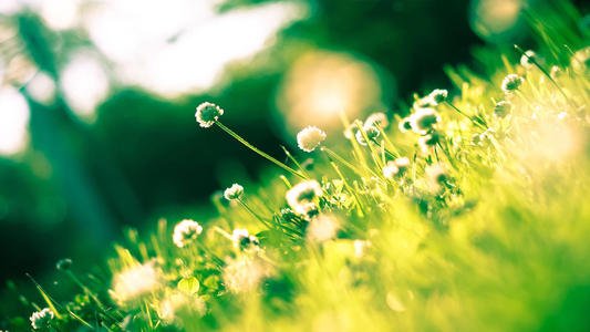 水蜜桃视频在线观看生物：加大垃圾處理環節宣傳，很有必要！