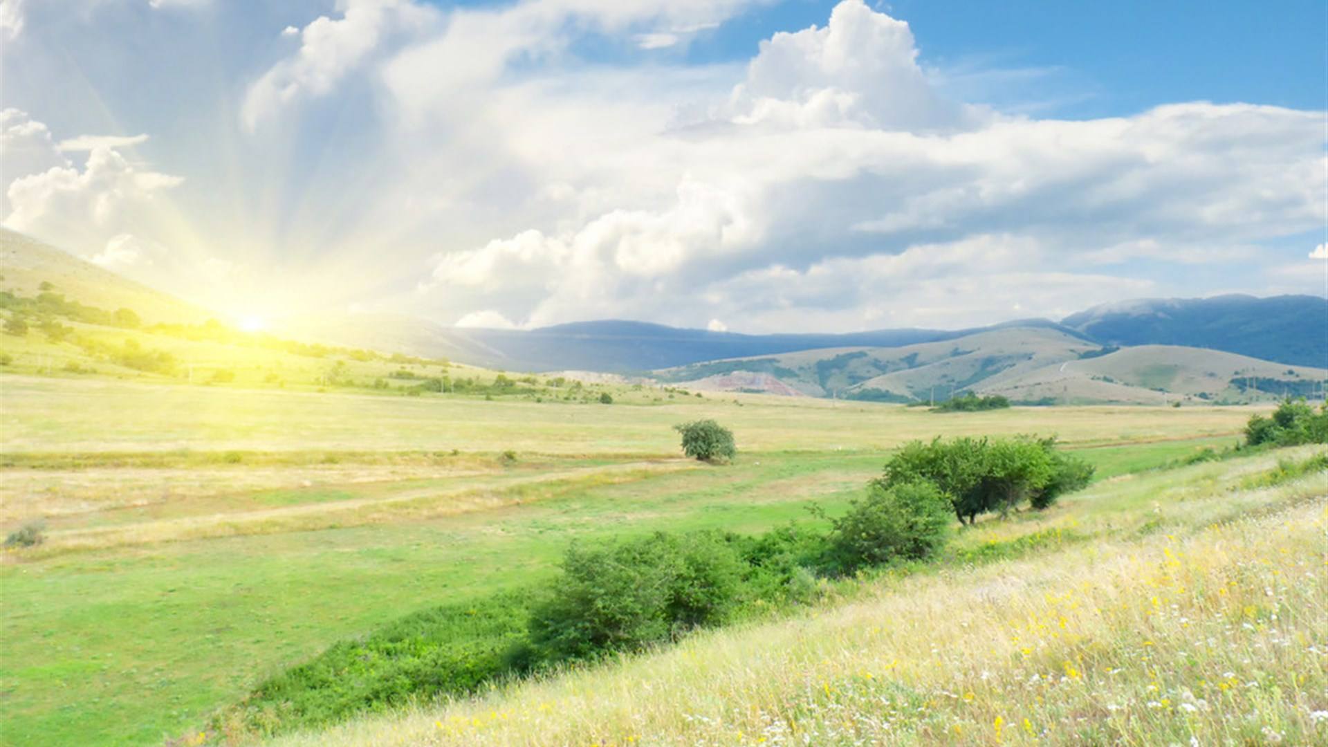 水蜜桃视频在线观看生物：果蔬垃圾變有機肥，共建生態綠色家園