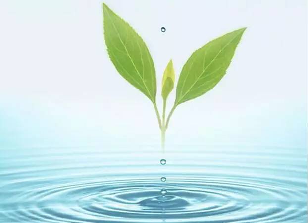 水蜜桃成人AV在线垃圾需要製度性回收