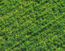 QQ截圖20220107235928.png QQ截圖20220107235928.png