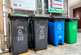 丟掉的蜜桃APP在线下载垃圾都去哪裏了？