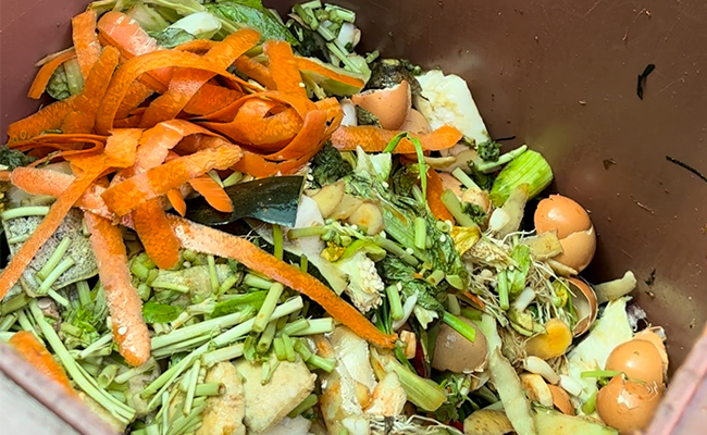 蜜桃APP在线下载垃圾減量化資源化處理