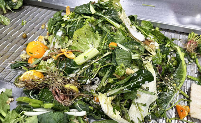 濕垃圾處理方式有哪些？